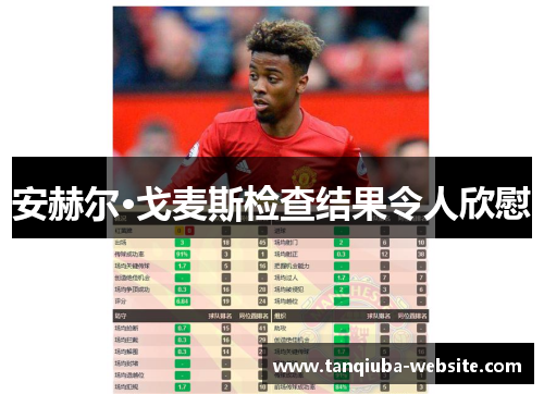 安赫尔·戈麦斯检查结果令人欣慰 安赫尔·戈麦斯检查结果令人欣慰